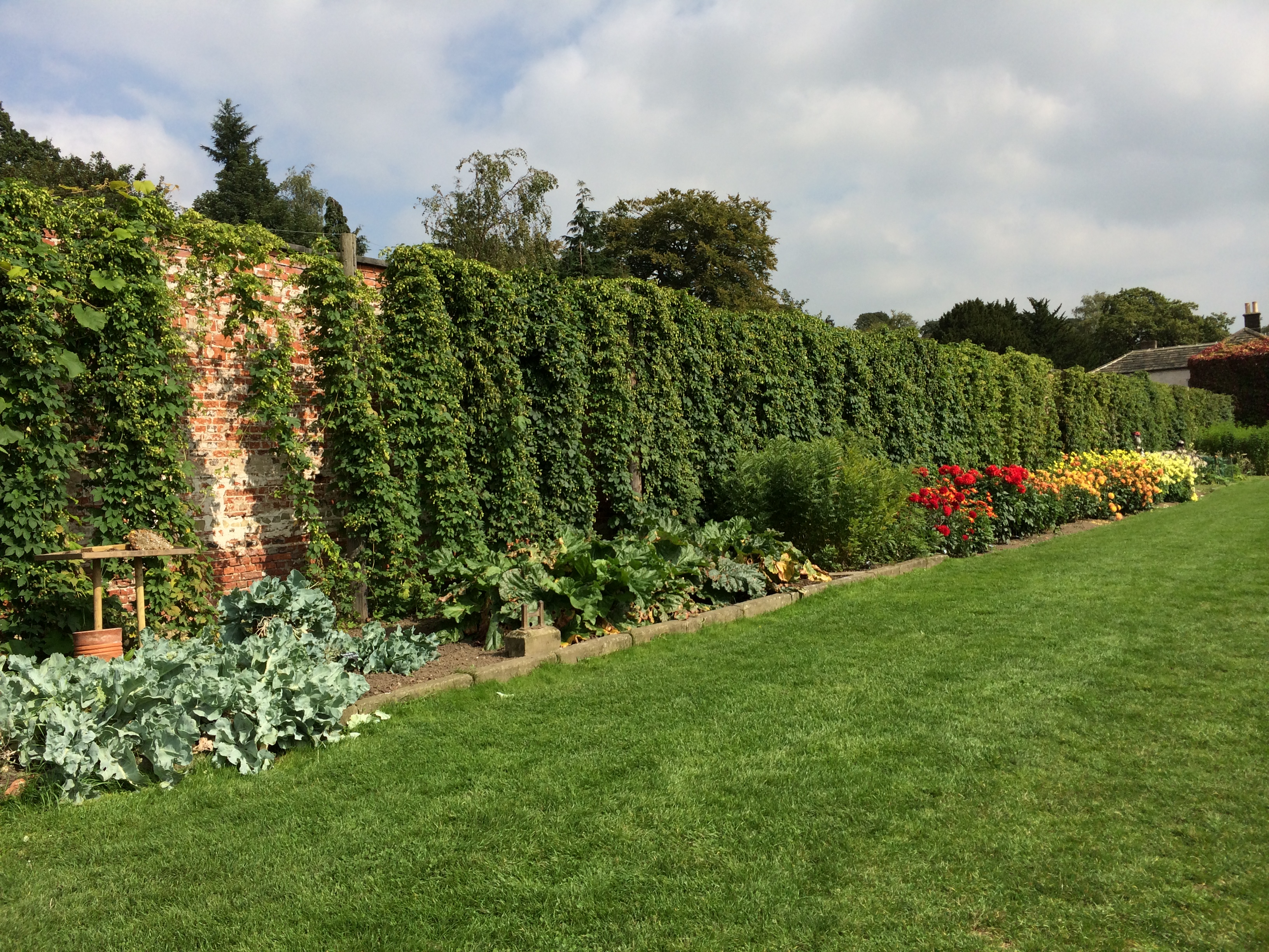 Harewood House has an popular walled garden