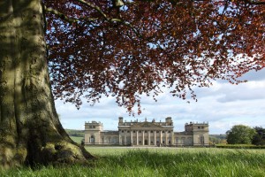 Capability Brown designed gardens at Harewood House