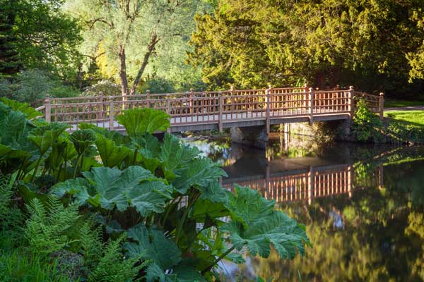 Visit Yorkshire to enjoy gardens at Harewood