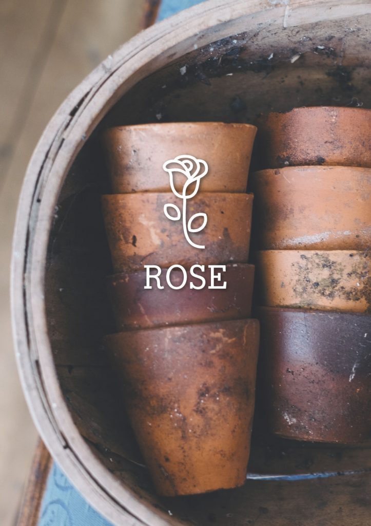 Rose Gardener Seeds of Hope