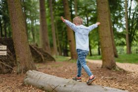small boy walking across wooden log surrounded by trees