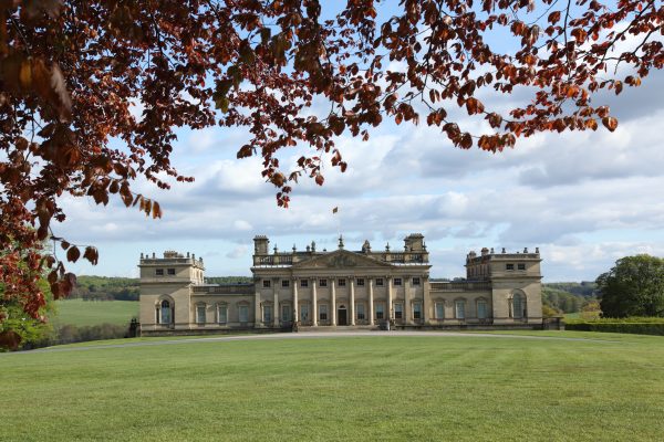 Harewood House Leeds exterior. Large beech tree over the top of image