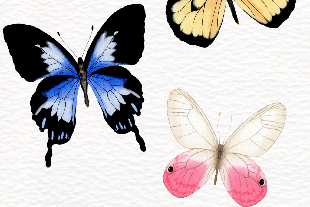 Butterfly Watercolours