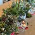 a series of plant pots laid across a table with different types of holly, spruce and tealights