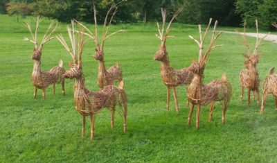 Reindeer Willow Weaving Workshop – SOLD OUT