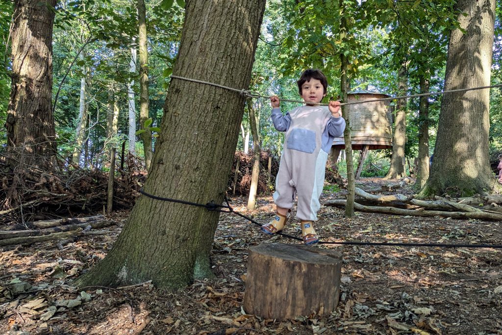 Tree Toddlers, Sep 2024, Harewood House Trust - 23