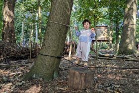 Tree Toddlers