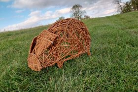 Pig Willow Weaving