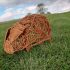 Pig Willow Weaving