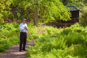 Talk and Walk with Harewood’s Head Gardener