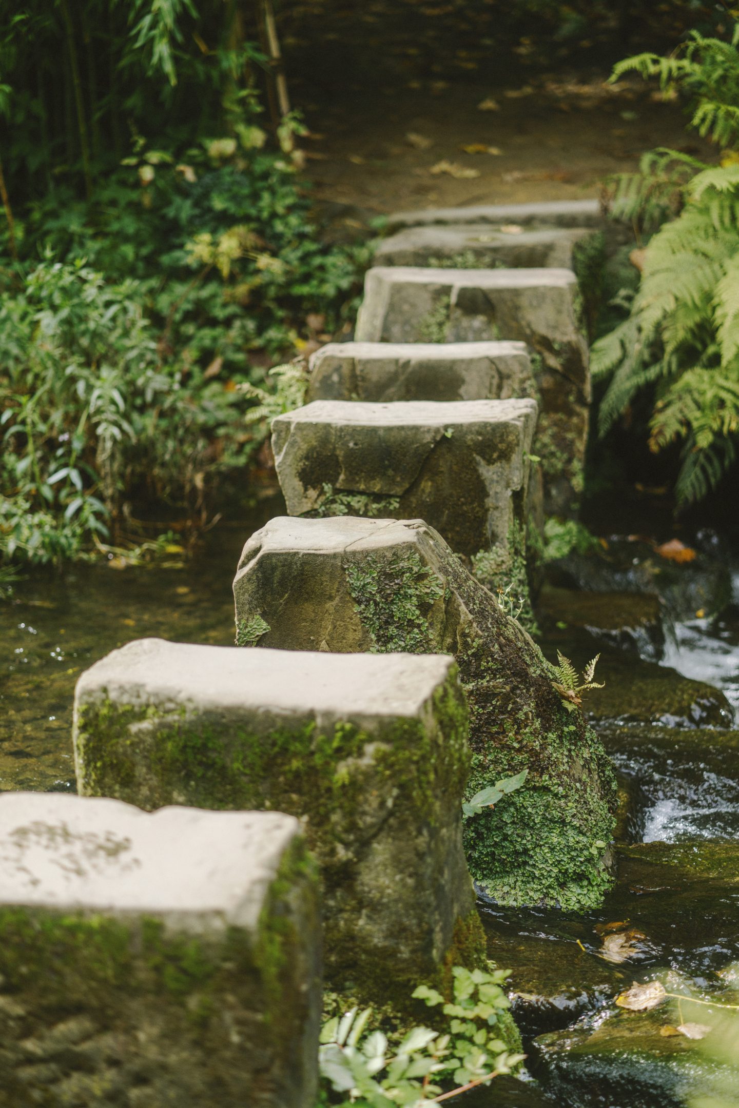 Link to page: Stepping Stones