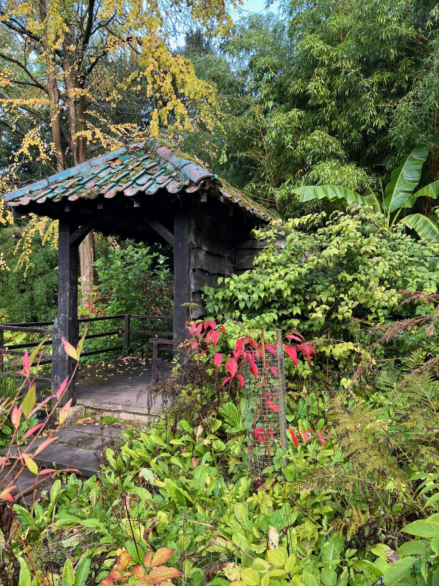 Link to page: Himalayan Garden Shelter