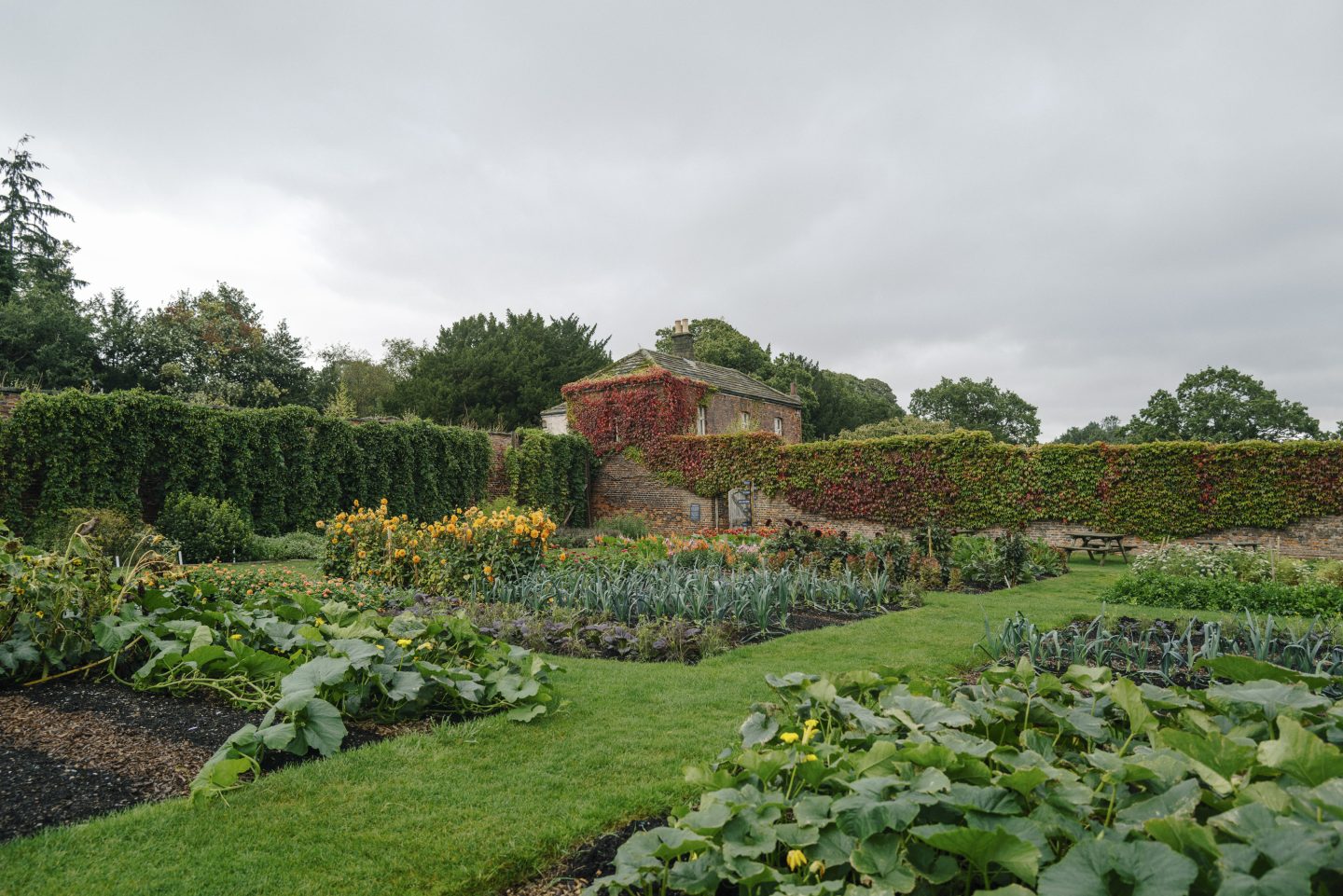 Link to page: Sustainability in Harewood’s Gardens