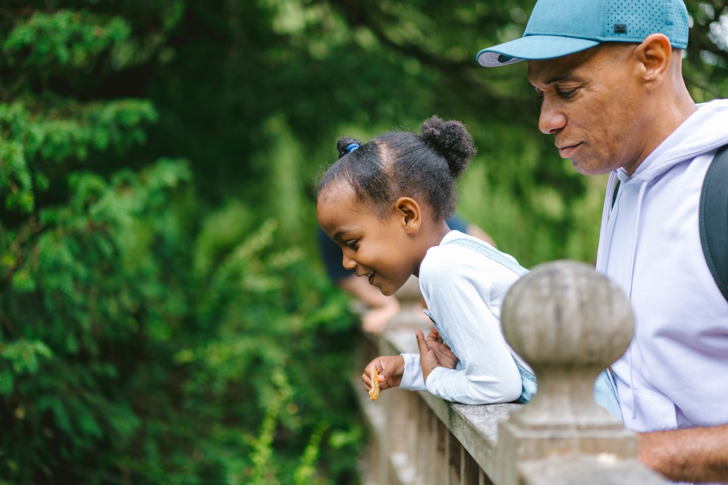 Link to page: NFU Mutual support new safari experience