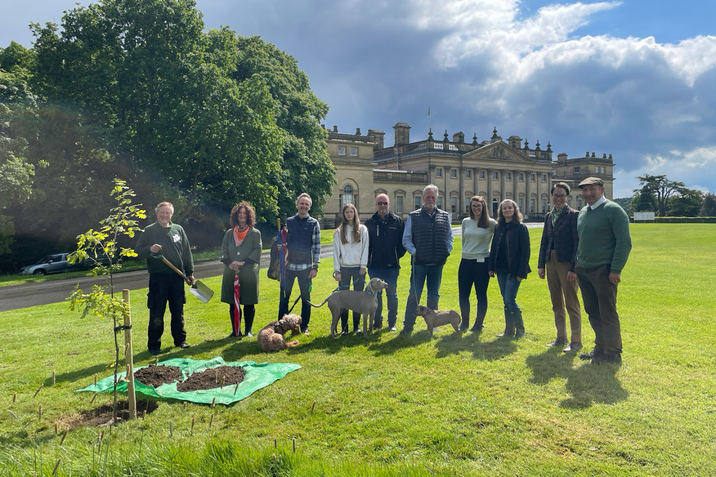 Link to page: The Royal Avenue